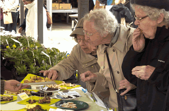 Our stand at Tour de Tod