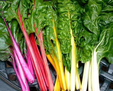 3rd June: Talk on Vegan Nutrition