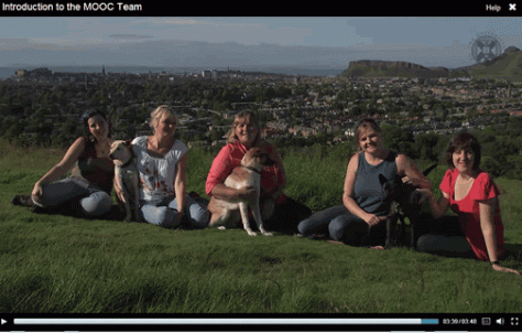 Animal beh course_team