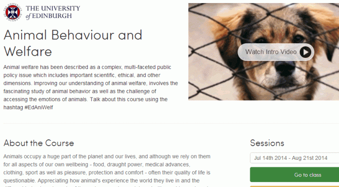 Free online Animal Behaviour and Welfare course starts today