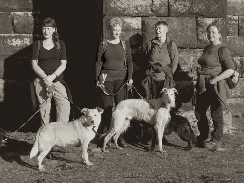 Walk above Todmorden, November 2015 (3)