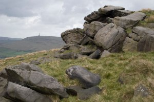Photo of Langfield Common