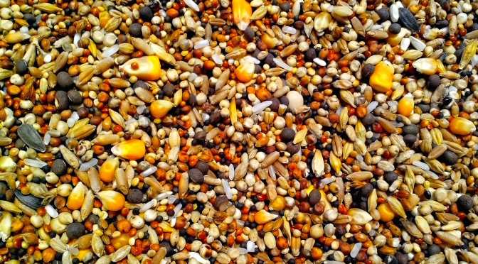 grains