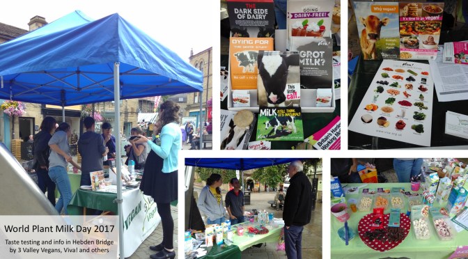 Scary dairy outreach in #HebdenBridge!