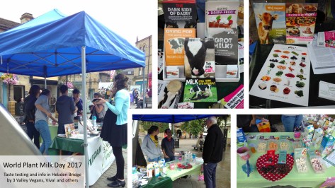 World Plant Milk Day 2017 stall in Hebden Bridge