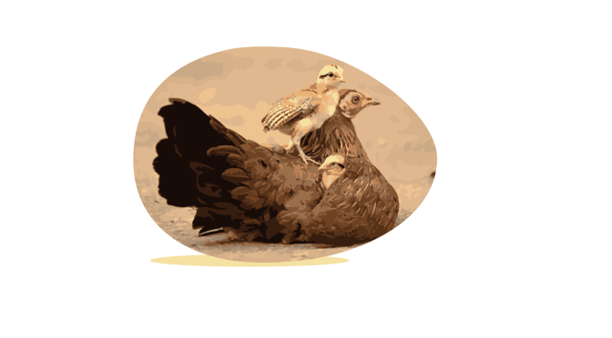 3 Feb: Egg-free cookery demo #Todmorden