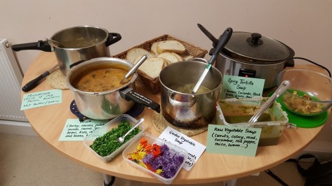 Cowspiracy soup pot luck