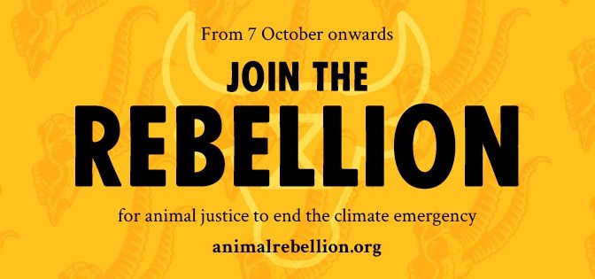Animal Rebellion prepares for London rebellion from 7 October
