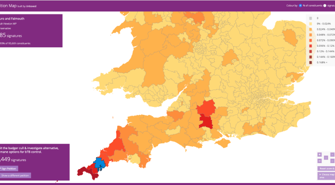 Petition: Halt the badger cull & investigate alternative, humane options for bTB control