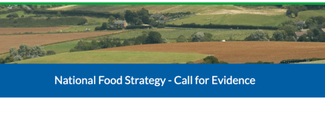 National Food Strategy art