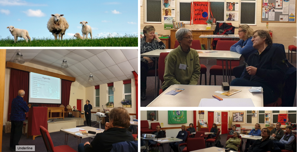 Veganuary 2020 photo collage