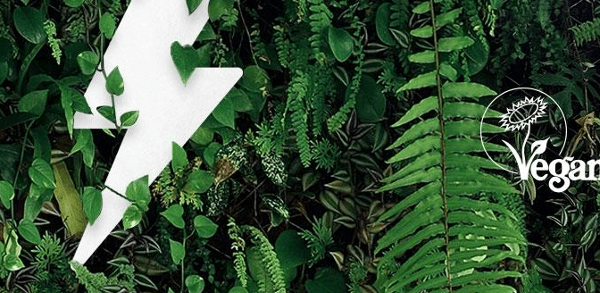 Ecotricity, get a voucher for switching to a vegan energy supply