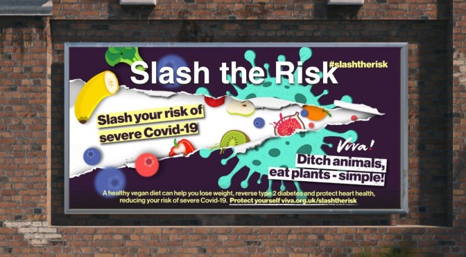 Viva! campaign to protect against future pandemics